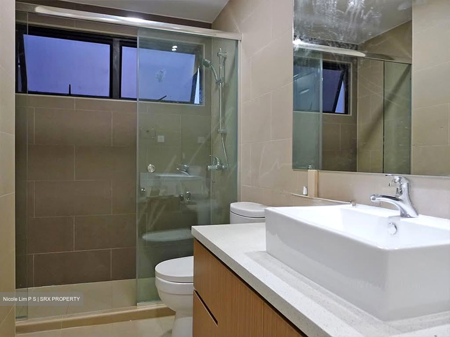 Dover Parkview (D5), Condominium #602070581